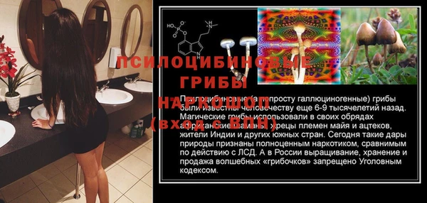 ECSTASY Магас